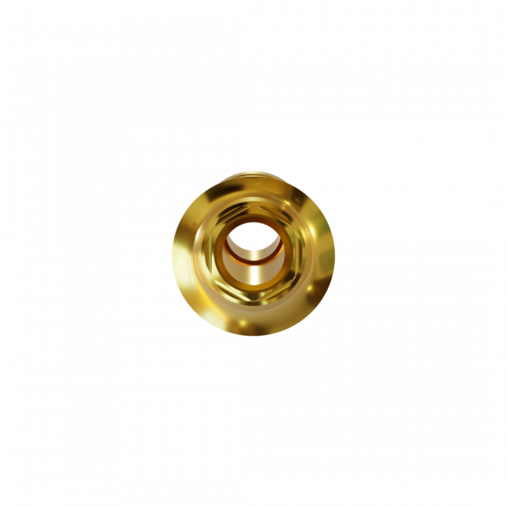 RC-Base 11° anguliert, GH2   Point Implant, Osstem, DIO