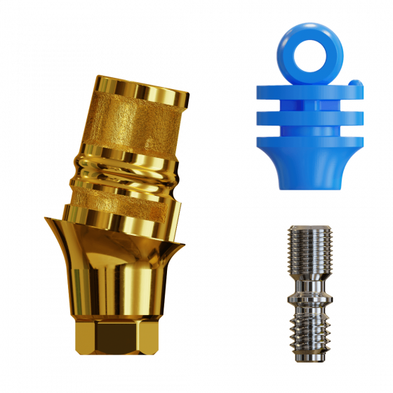 RC-Base 11° anguliert, GH2   Point Implant, Osstem, DIO
